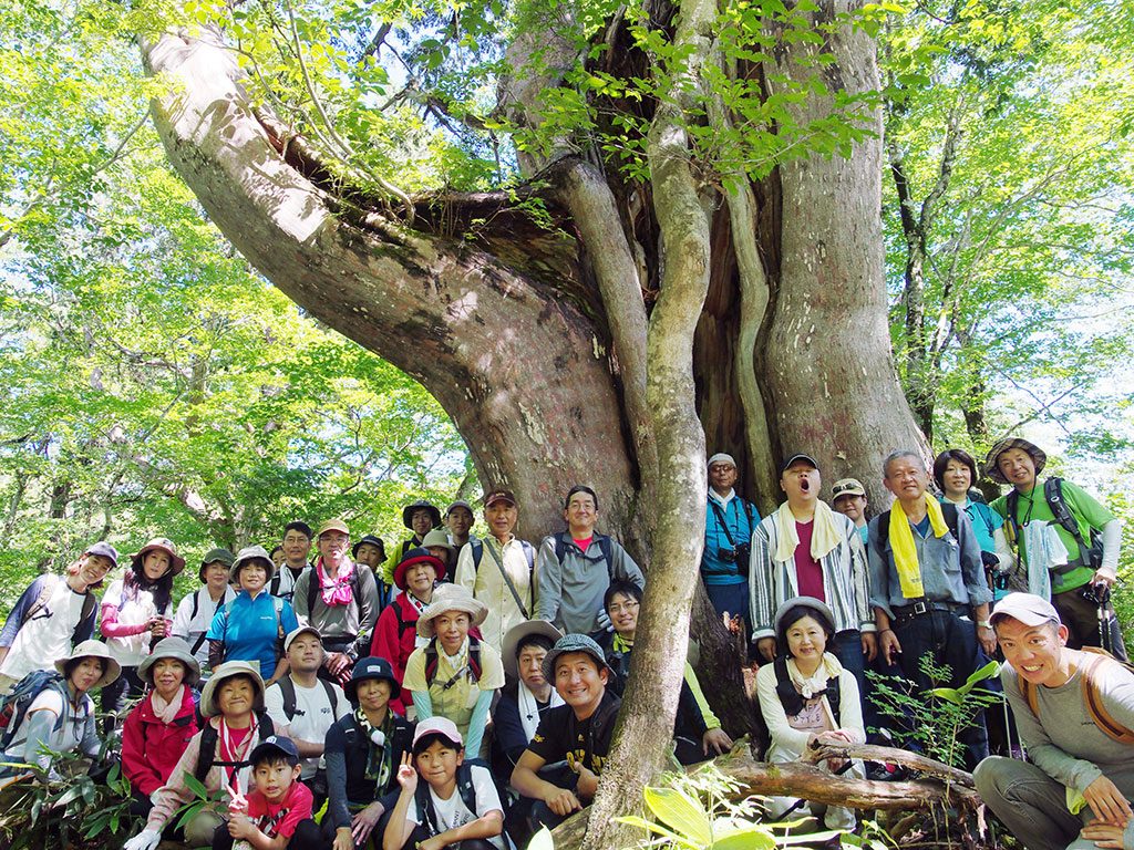 forever green project